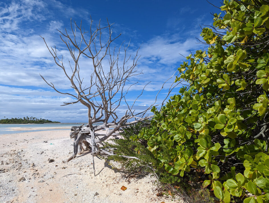 Raroia Atoll Bumfuzzle