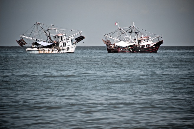 Sayulita Fishing Fleet