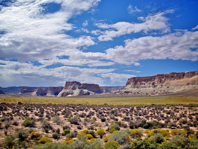 AZ Landscape