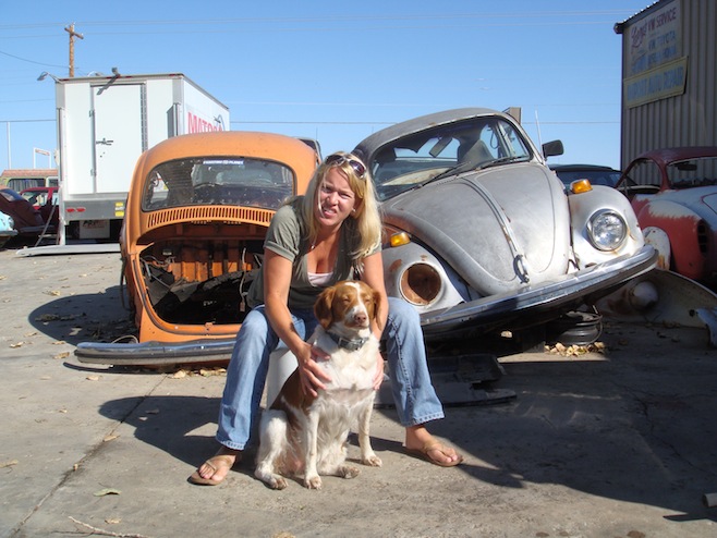 OK VW Shop Dog