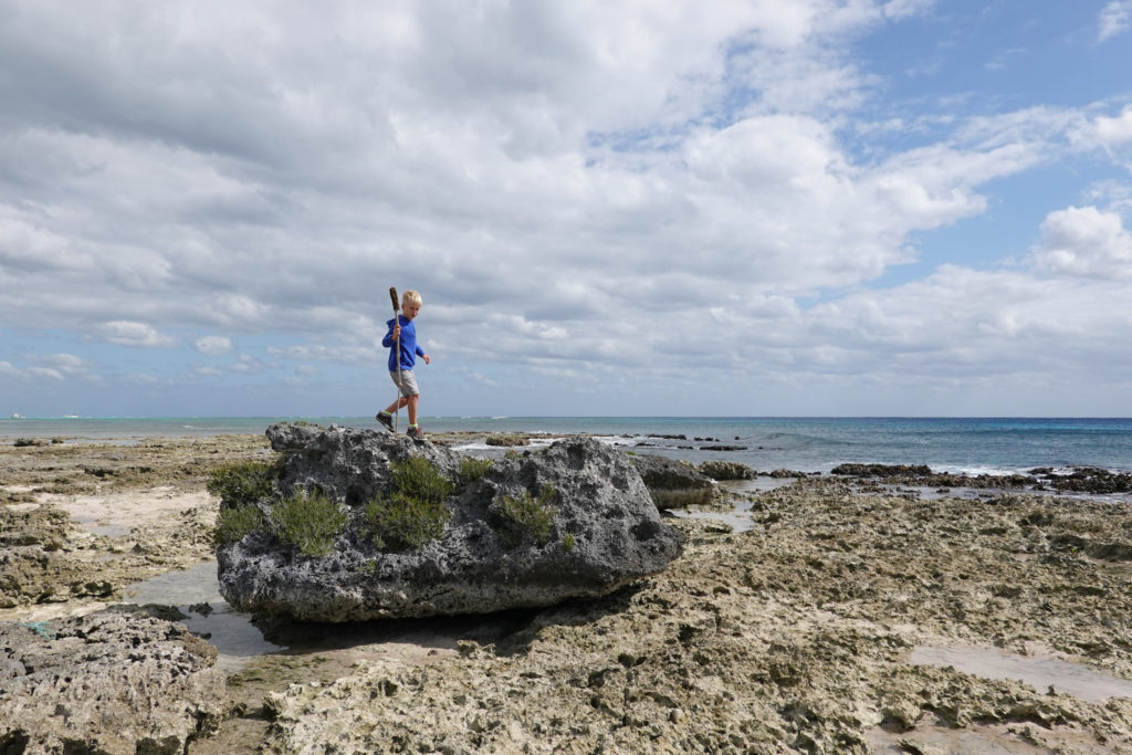 Little Cayman Beach