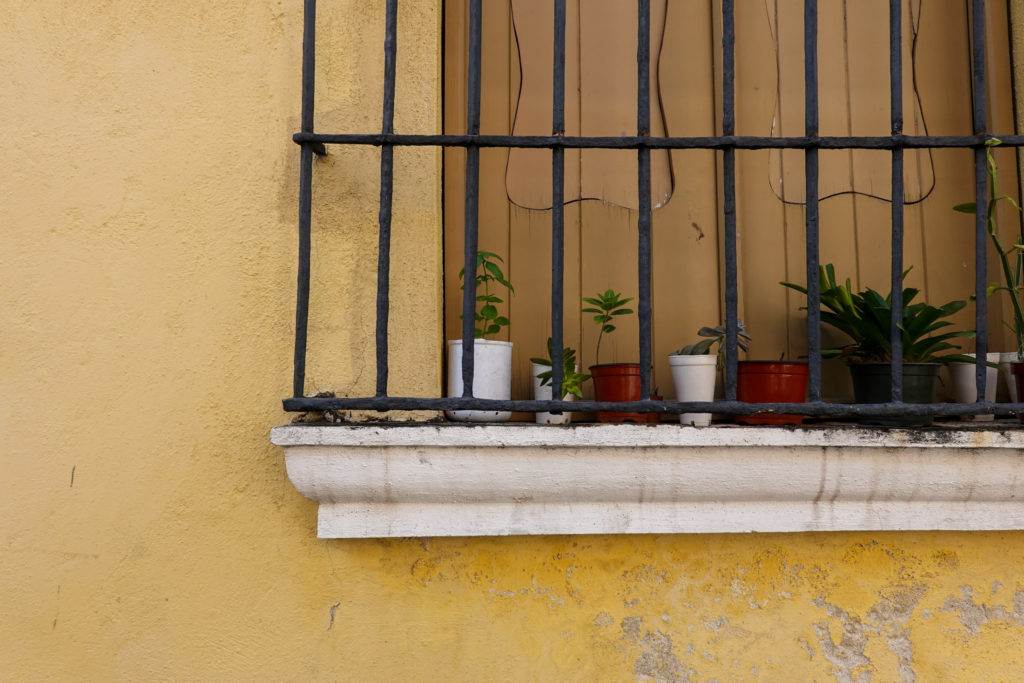 Street Plants