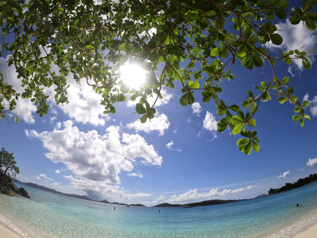 Caneel Bay Beach