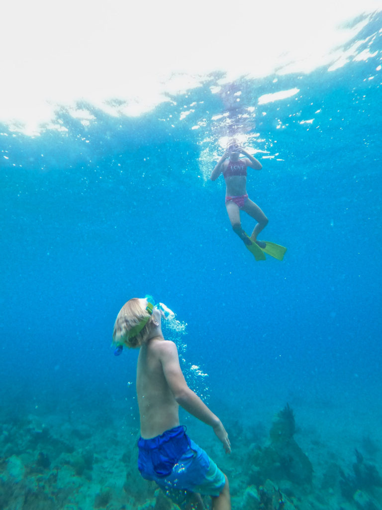 Snorkel USVI