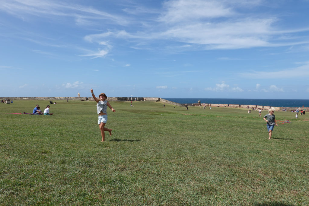 Kites at the Fort