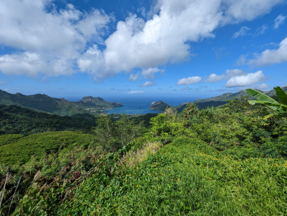 The Nuku-Hiva Loop - Bumfuzzle